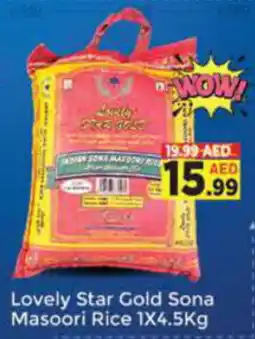 AIKO HYPERMARKET Lovely Star Gold Sona Masoori Rice 1 x 4.5kg offer