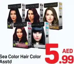 Day To Day Sea Color Hair Color Asstd offer