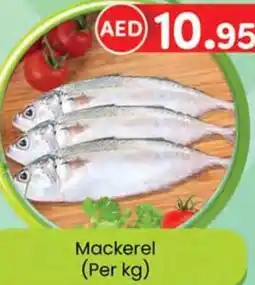 KM Trading Mackerel (Per kg) offer
