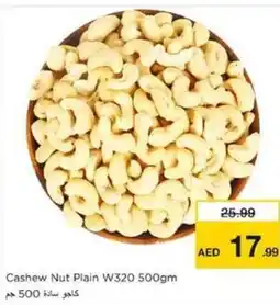 Nesto Cashew Nut Plain W320 500gm offer