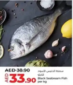 Lulu Hypermarket Black Seabream Fish kg offer