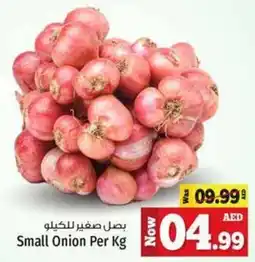 Kenz Hypermarket Small Onion Per Kg offer