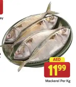 City Retail Supermarket Mackerel Per Kg offer