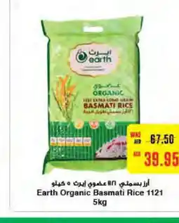Megamart EARTH Basmati / Biryani Rice offer