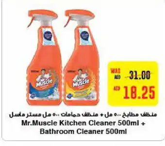 Megamart MR. MUSCLE Toilet / Drain Cleaner offer