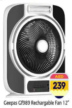 Bigmart GEEPAS Fan offer