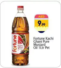 Bigmart FORTUNE Mustard Oil offer