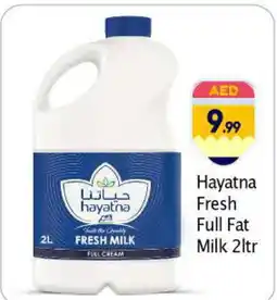 Bigmart HAYATNA Fresh Milk offer