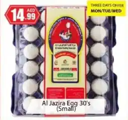 Amber Al Jazira Egg 30s Small offer