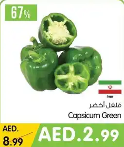 Gala Supermarket Capsicum Green offer