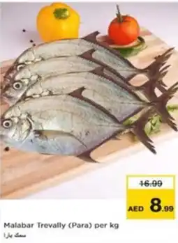 Nesto Malabar Trevally (Para) per kg offer