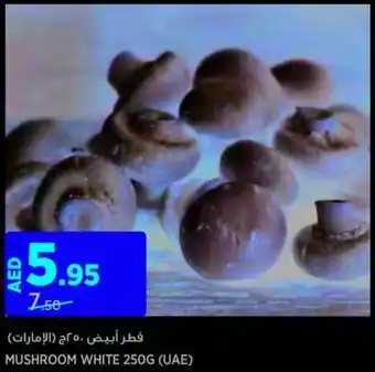 Géant MUSHROOM WHITE offer