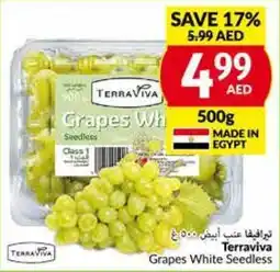 Viva TERRAVIVA GRAPES WHITE SEEDLESS offer