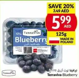 Viva TERRAVIVA BLUEBERRY offer