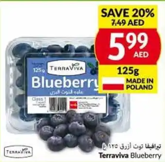 Viva TERRAVIVA BLUEBERRY offer