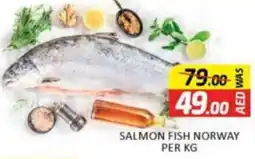 Al Madina Salmon fish norway offer