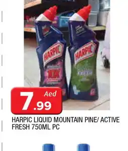 Al Madina HARPIC Toilet / Drain Cleaner offer