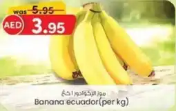 KM Trading Banana ecuador offer