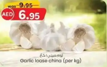 KM Trading Garlic loose china offer