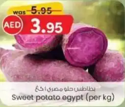 KM Trading Sweet potato egypt offer