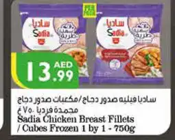 Istanbul Supermarket SADIA Chicken Cubes offer