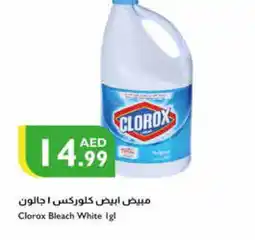 Istanbul Supermarket CLOROX Bleach offer