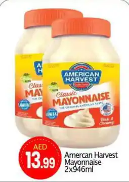 Bigmart AMERICAN CLASSIC Mayonnaise offer