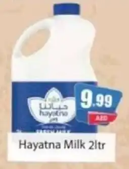 Amber Hayatna Milk offer