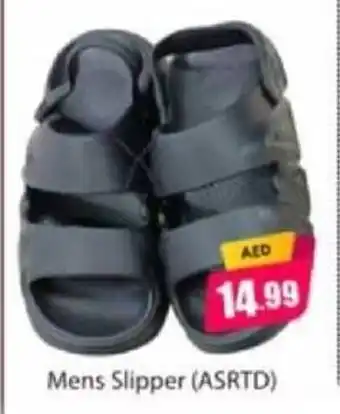 Amber Mens Slipper offer