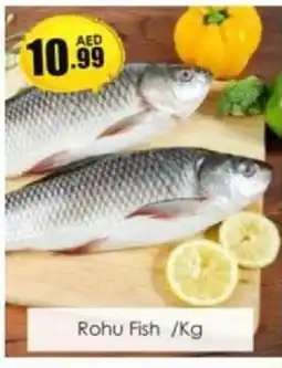 Amber Rohu Fish offer