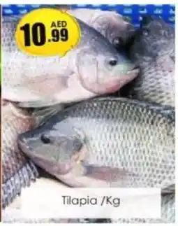 Amber Tilapia offer