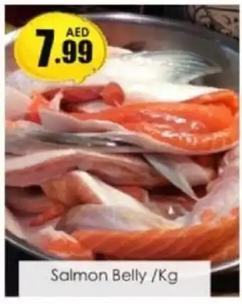 Amber Salmon Belly offer