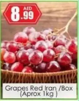 Amber Grapes Red offer