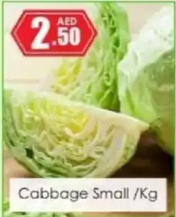 Amber Cabbage Small offer