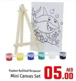 Kenz Hypermarket Mini Canvas offer