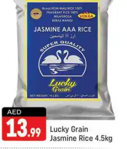 Shaklan VOLGA Jasmine Rice offer