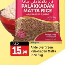 Shaklan ALLDE Matta Rice offer
