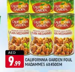 Shaklan CALIFORNIA GARDEN Fava Beans offer