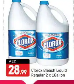Shaklan CLOROX Bleach offer