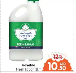 Al Madina Hypermarket HAYATNA Laban offer