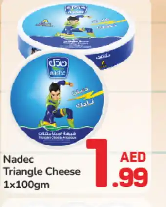 Day To Day NADEC Triangle Cheese offer