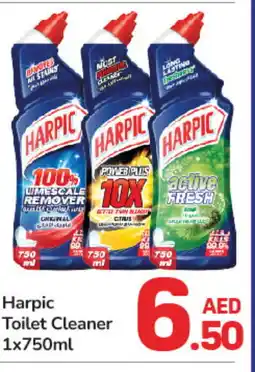 Day To Day HARPIC Toilet / Drain Cleaner offer