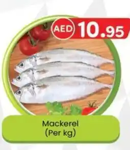 KM Trading Mackerel offer