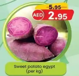 KM Trading Sweet potato egypt offer