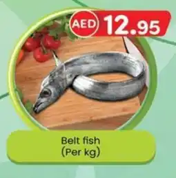 KM Trading Belt fish offer