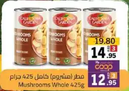 Sharjah Co-op California Garden Mushrooms Whole offer