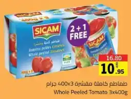 Sicam Whole Peeled Tomato