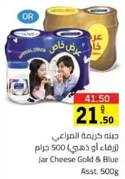 Jar Cheese Gold & Blue