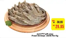 Megamart Fresh Shrimps 20/30 offer