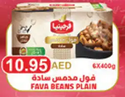 Megamart Fava beans plain offer